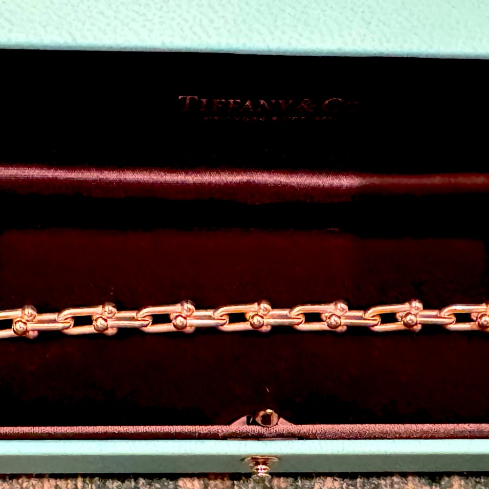 Tiffany hardware bracelet small link sterling size large 8”